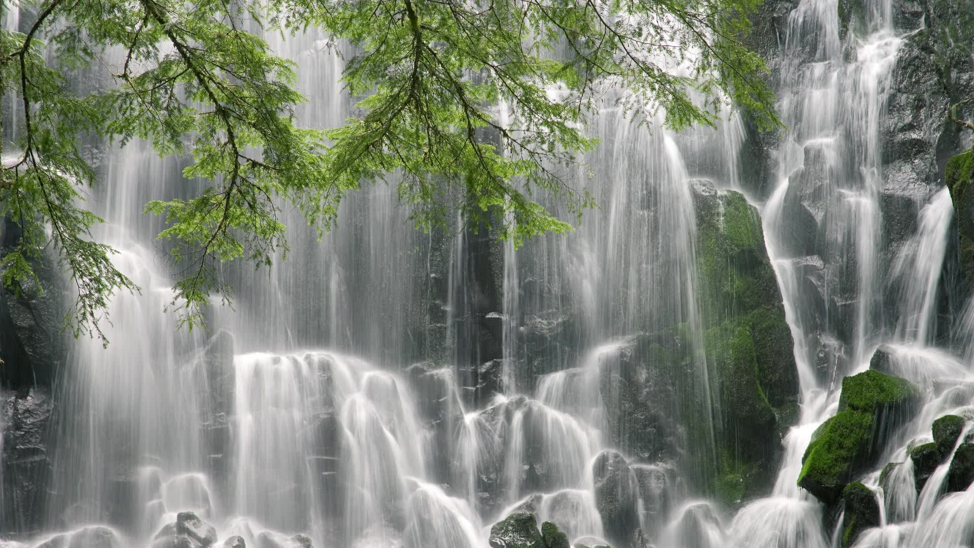 世界游泳锦标赛赛后经济影响评估报告发布,世界游泳锦标赛发奖